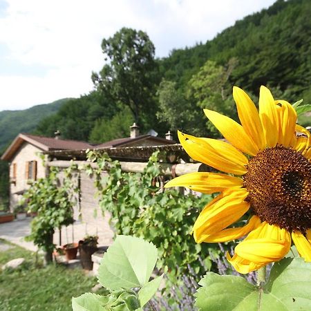 Agriturismo Cà Sonino Bettola  Esterno foto