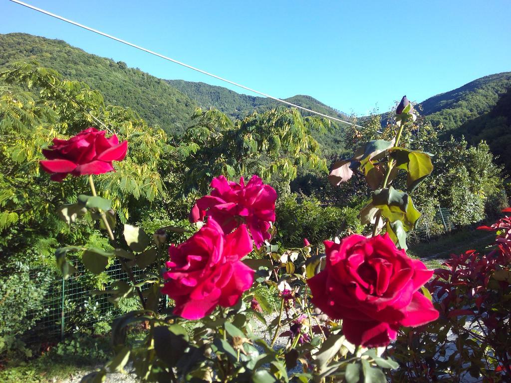 Agriturismo Cà Sonino Bettola  Esterno foto